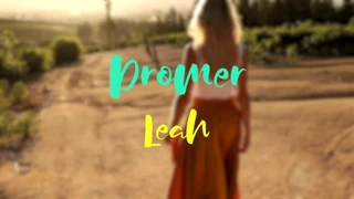 Dromer