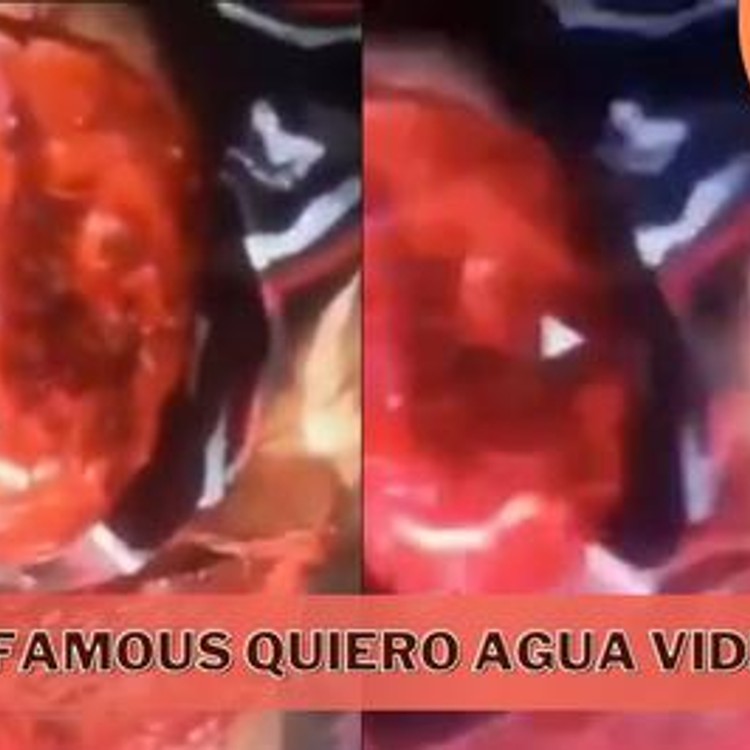 Unveiling the Horrors: The Infamous ''Quiero Agua'' Video and Mexico''s Drug War-hover