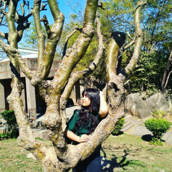 परिंदे (parinde) part 1