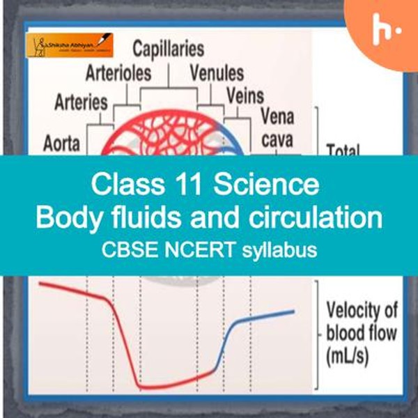 Theory part | CBSE | Class 11 | Biology | Body Fluids and Circulation ...