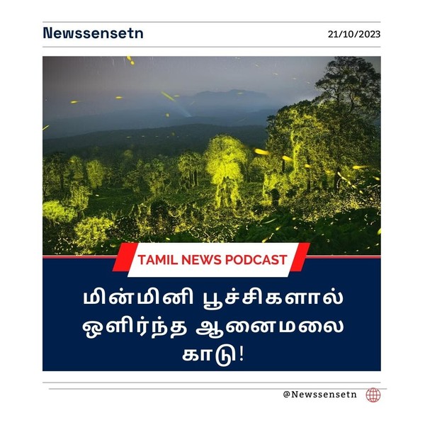 மின்மினி பூச்சிகளால் ஒளிர்ந்த ஆனைமலை காடு: சர்வதேச விருது வென்ற புகைப்படகலைஞர் சொல்வதென்ன?