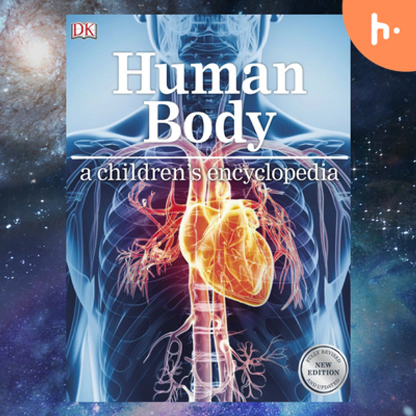 Human Wonder Machine