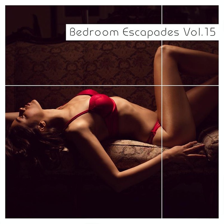 Bedroom Escapades Vol. 15