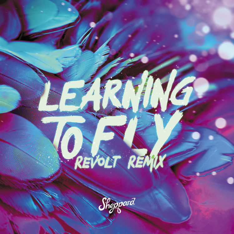 Learning To Fly