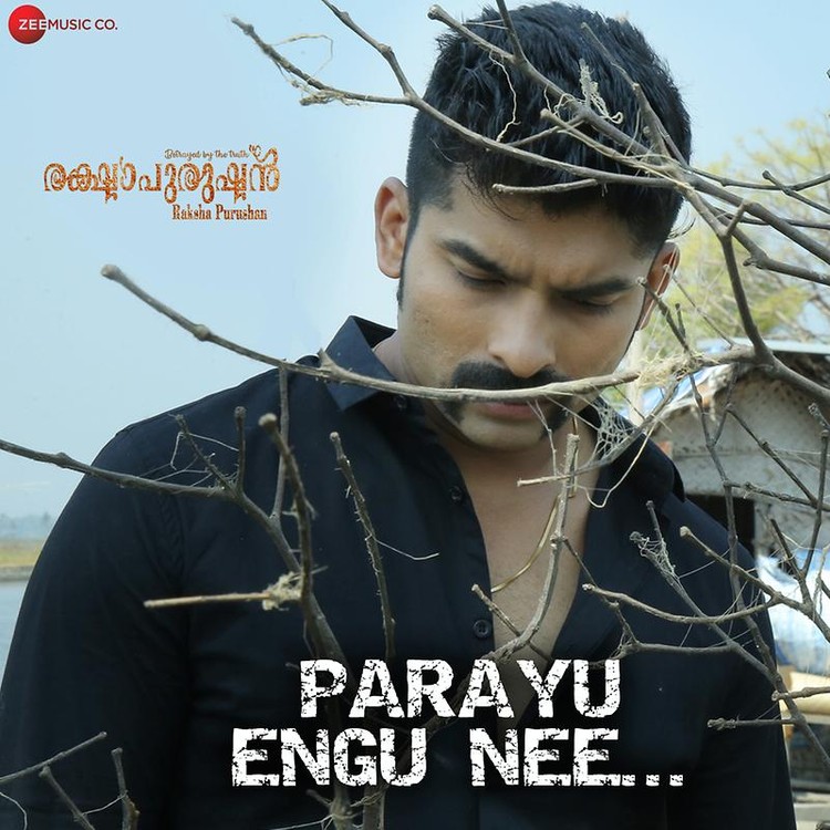 Parayu Engu Nee