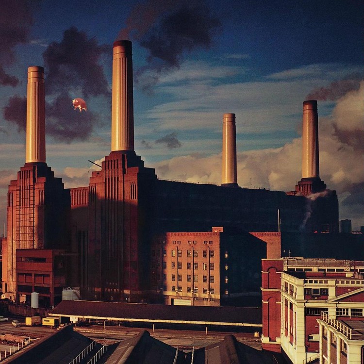 Animals (2011 Remastered Version)