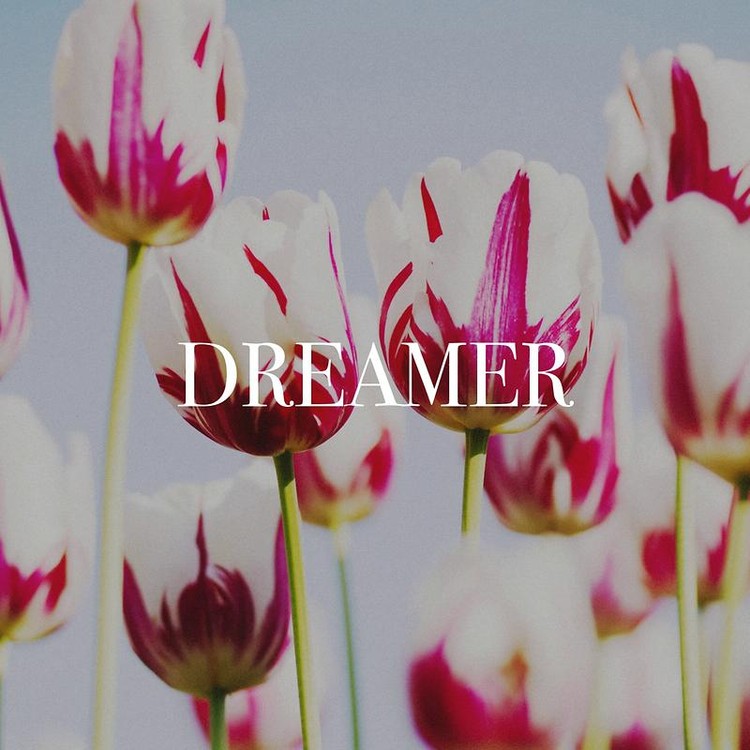 Dreamer