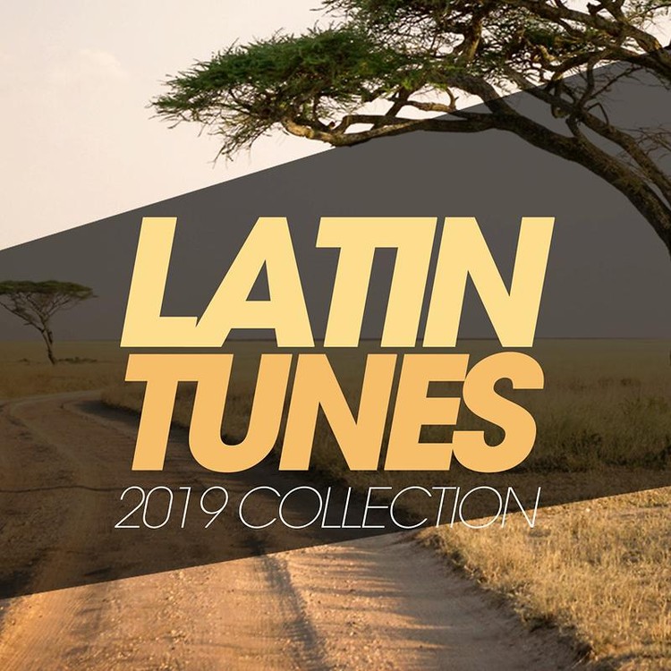 Latin Tunes 2019 Collection