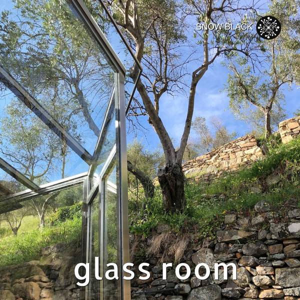 Glass Room-hover