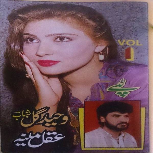 Aqal Meena, Vol. 1