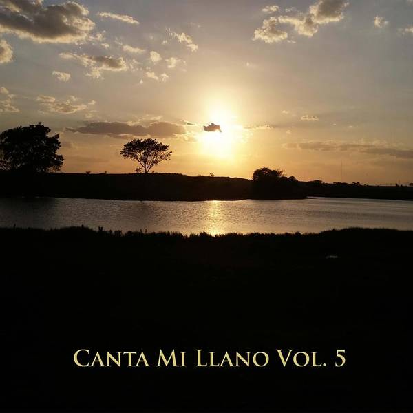 Canta Mi Llano Vol 5-hover