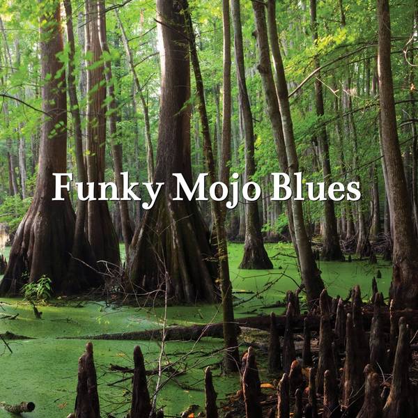 Funky Mojo Blues