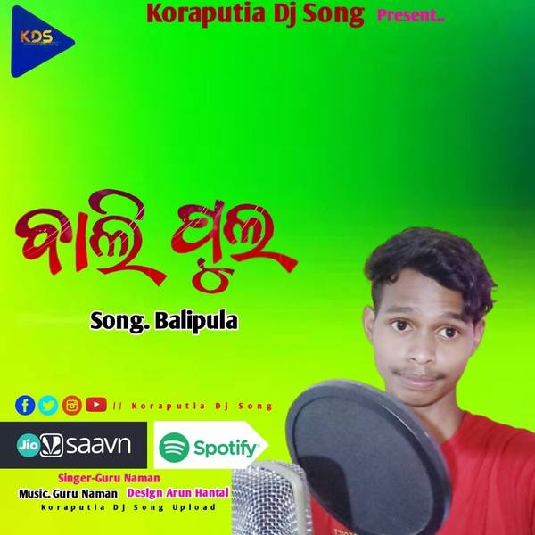 Baliphula Koraputia Song-hover