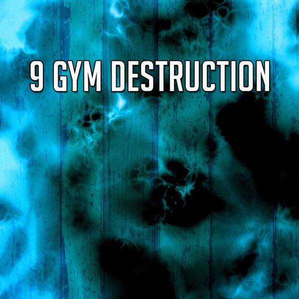 9 Gym Destruction