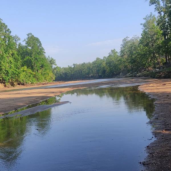 Ham Mar Jayenge (Nagpuri)