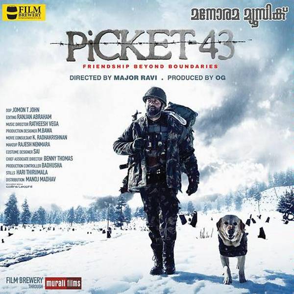 Picket 43-hover