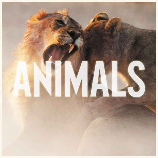 Animals-hover