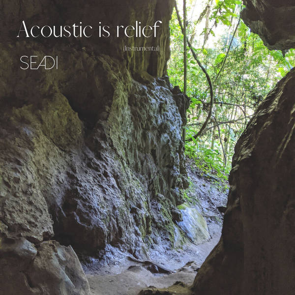 Acoustic Is Relief (Instrumental)