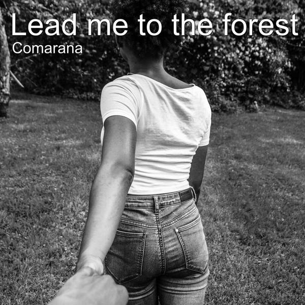 Lead Me to the Forest