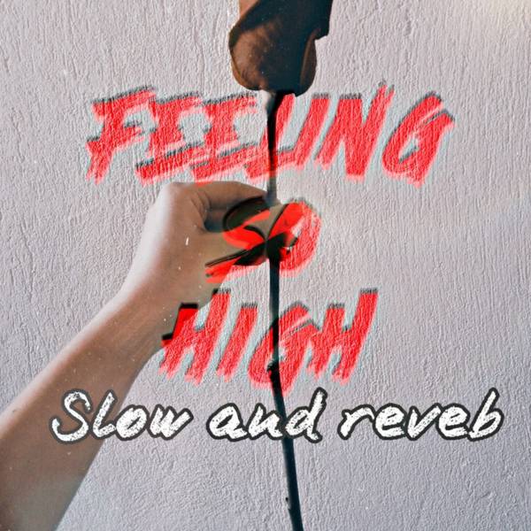 Feeling So High (Slow Reverb)