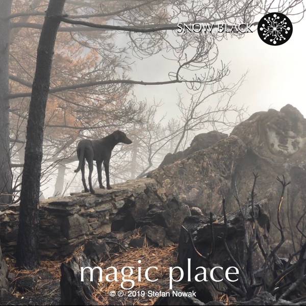 Magic Place