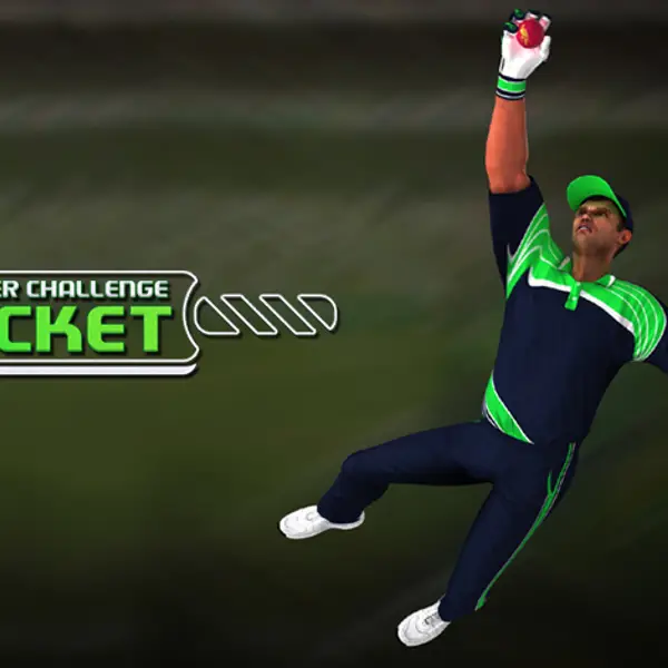 Cricket Fielder challenge