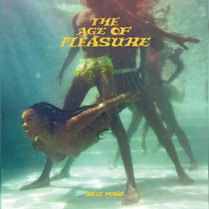 The Age of Pleasure