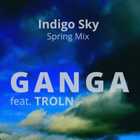 Indigo Sky Spring Mix