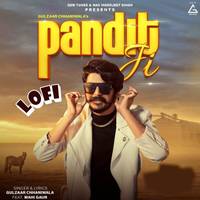 Pandit Ji (Lofi)