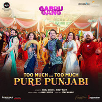Too Much... Too Much Pure Punjabi From "Gabru Gang"