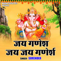 Jai Ganesh Jai Jai Ganesh Hindi