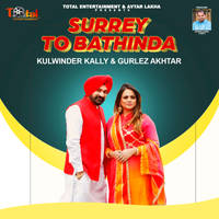 Surrey To Bathinda