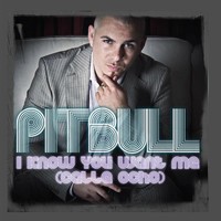 I Know You Want Me (Calle Ocho) Radio Edit