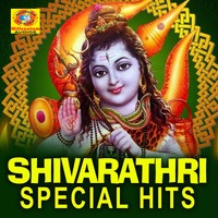 Om Shivam Shivakaram