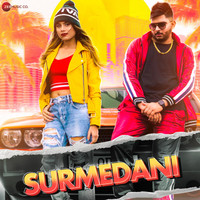 Surmedani