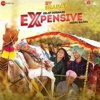 Expensive