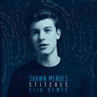 Stitches