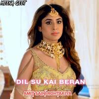 Dil Su Kai Beran
