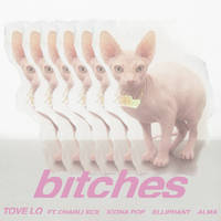bitches