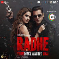 Radhe Title Track