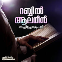 Chitti Kuri