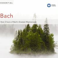 Brandenburg Concerto No. 4 in G Major, BWV 1049: I. Allegro