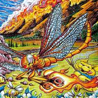 China Cat Sunflower (Live at Folsom Field, Boulder, CO, 6/10/2017) Live at Folsom Field, Boulder, CO, 6/10/2017