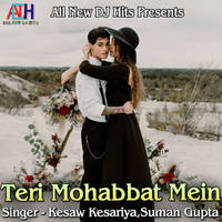 Teri Mohabbat Mein