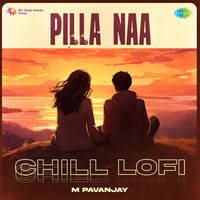 Pilla Naa - Chill Lofi