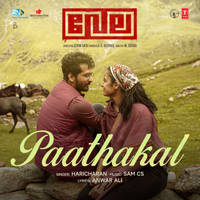Paathakal (From "Vela")