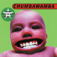 Tubthumping