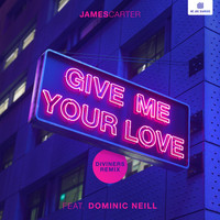 Give Me Your Love Diviners Remix