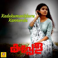 Kadukumanikkoru Kannundu From "Kappela"