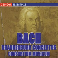 Concerto No. 1 in F Major, BWV1046, II. Adagio